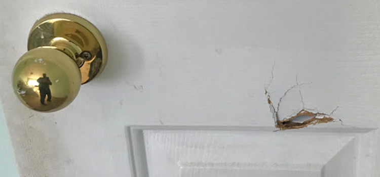 interior door hole repair Mayflower Village