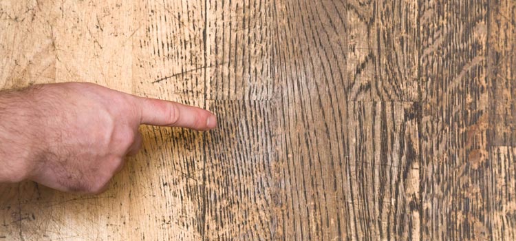Wood Door Scratch Repair in Mayflower Village